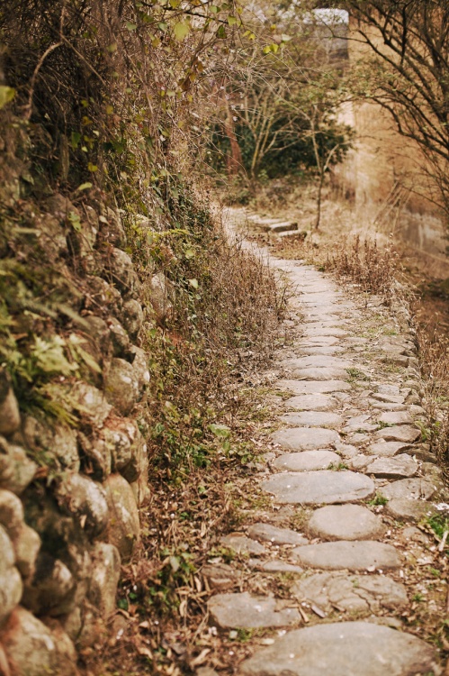 ������¥<span class=lxw>[ע: �����Ļ��Ų�������¥?�����ͼ���¥�������϶�һ�޶����񻰰����ӽ������⣬����Ϊ������������һ�������顱����ʽ��¥�鲼�������,�γ�һ������ɽ��ˮ���������¡����ֺ����������Ȼ��гͳһ����¥Ⱥ��]</span>-������Ӱ