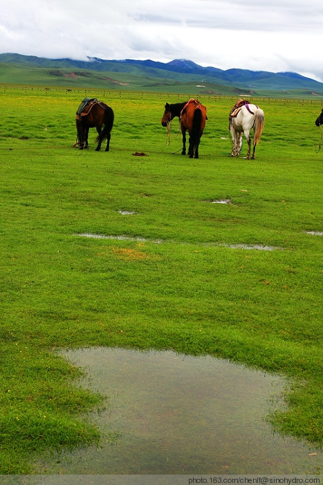 ����ǧ����֮�߽�������<span class=lxw>[ע: ������      �����ſ� ���������ǣ�����һ����Ƕ�ڴ������߽��Ϲ�����Ŀ���̱�ʯ����������������ԭ������ˮ�ݷ�ï��ţ���Ⱥ��������Ⱥɽ���࣬��ũ������]</span>��ԭʪ��-���ϵ���