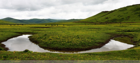 ����ǧ����֮�߽������Ǹ�ԭʪ��-���ϵ���