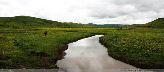 ����ǧ����֮�߽������Ǹ�ԭʪ��-���ϵ���