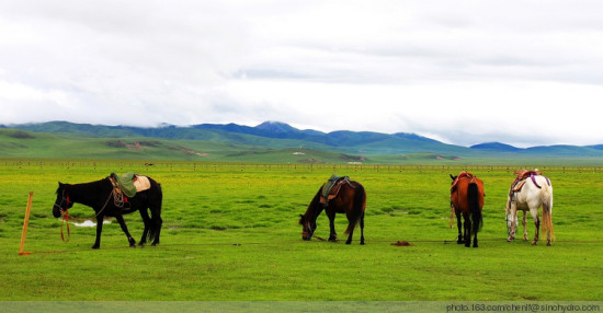 ����ǧ����֮�߽������Ǹ�ԭʪ��-���ϵ���