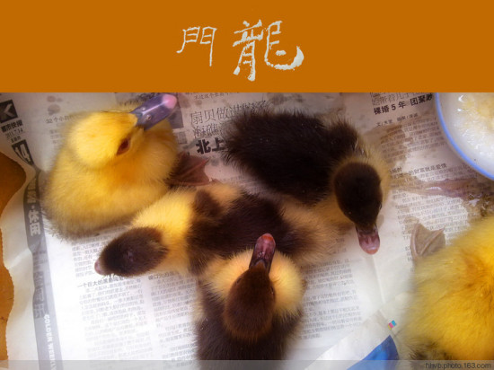 ����-��Ȩ����-��Ȼ�羰