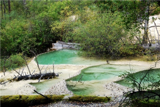 ���ɳأ��۶�ɣ�루һ��-���ϵ���