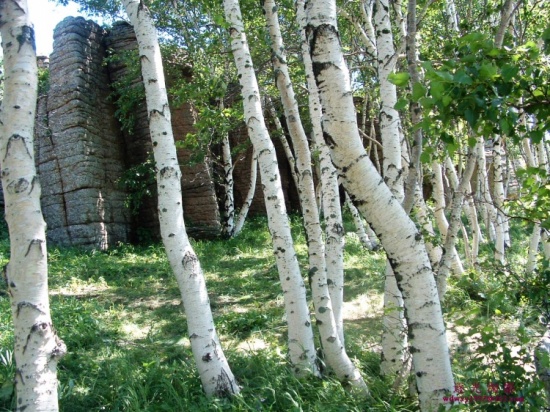 ��ԭ�ļ���-��Ȼ�羰