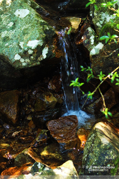 ��˳�������ضǴ�̩�-��Ȼ�羰