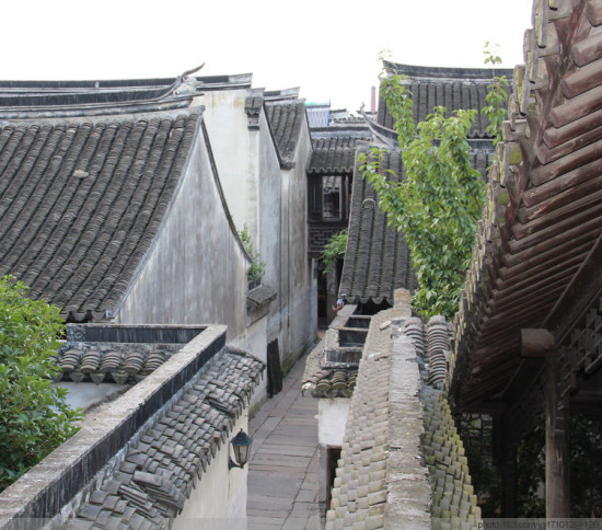 ��������-������Ӱ