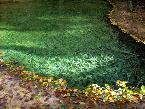 ���ɳأ��۶�ɣ�룩������Ů��-��Ȼ�羰