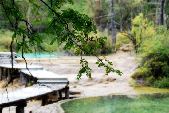 ���ɳأ��۶�ɣ�룩������Ů��-��Ȼ�羰