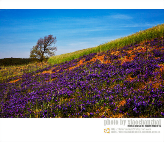 �����飨һ��-��Ȼ�羰