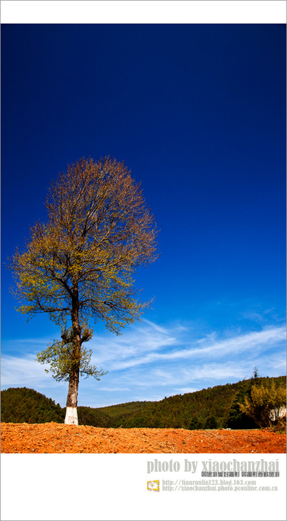 �����飨һ��-��Ȼ�羰