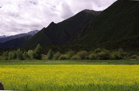 ��������֥��·��-���ϵ���