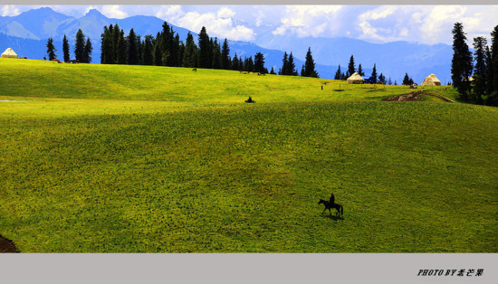 �����½�֮�ʻ�ʢ���Ŀ�����-��������