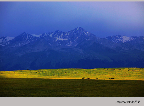 �����½�֮�ʻ�ʢ���Ŀ�����-��������