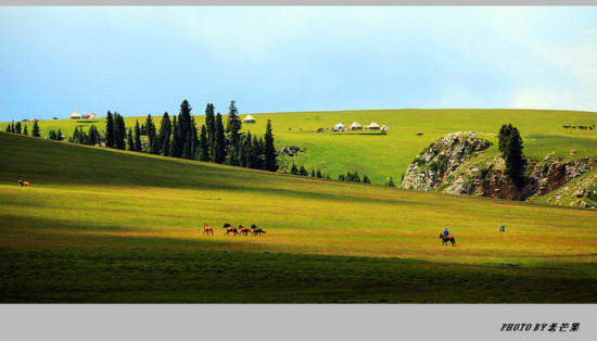 �����½�֮�ʻ�ʢ���Ŀ�����-��������