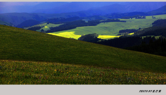 �����½�֮�ʻ�ʢ���Ŀ�����-��������