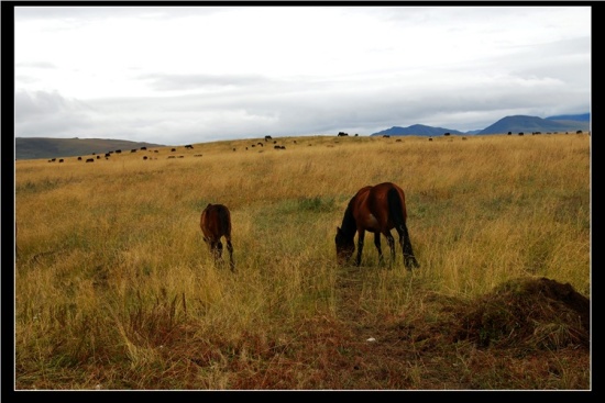 ����<span class=lxw>[ע: ������ԭλ�����������ϲ��������أ��ƺ�����1���ƽ������Ĵ��ԭ�ϣ��������뾳�����������������γɾ����еĵ�һ�������������������ĵĻƺ�������]</span>��ԭ-��������