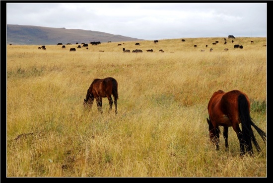 ������ԭ-��������