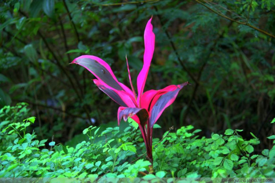 ͯ��������-��Ȼ�羰