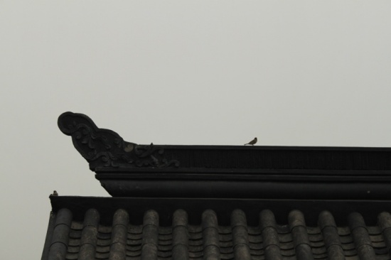 �Ͼ������� �� ����ǽ �� �����-��Ȼ�羰