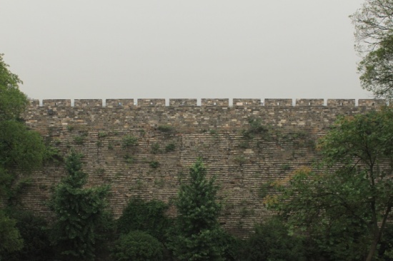 �Ͼ������� �� ����ǽ �� �����-��Ȼ�羰