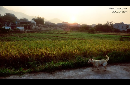 ���µ�β��-��Ȼ�羰