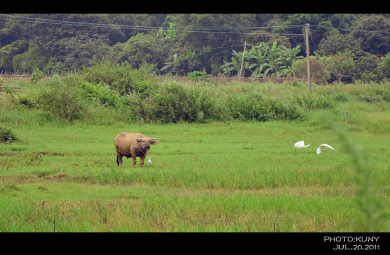 ���µ�β��-��Ȼ�羰