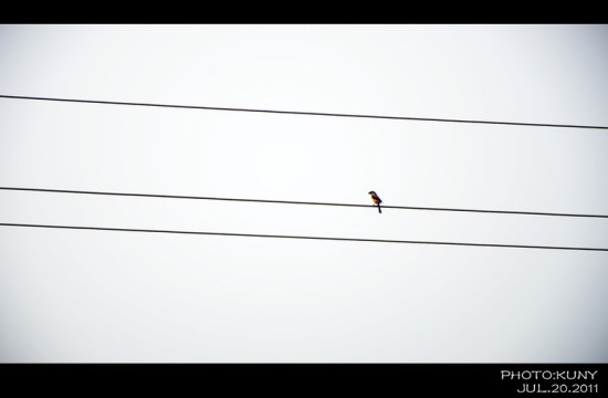 ���µ�β��-��Ȼ�羰