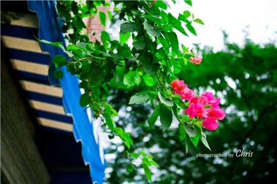 �������ֿ���-������Ӱ