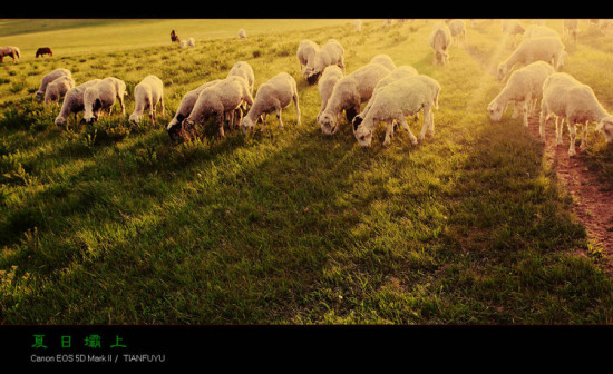 ���հ���3-��������