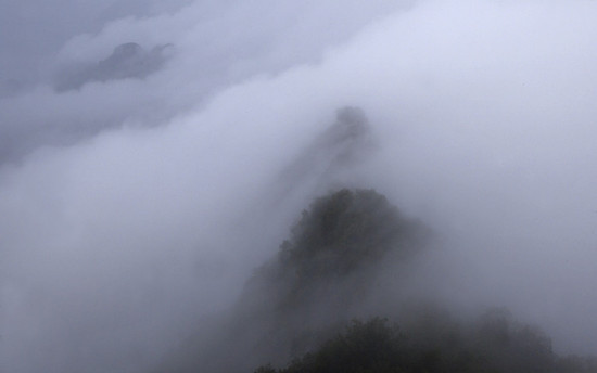 �����۳����Ʒɶ�-��������