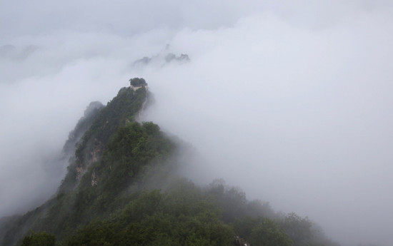 �����۳����Ʒɶ�-��������