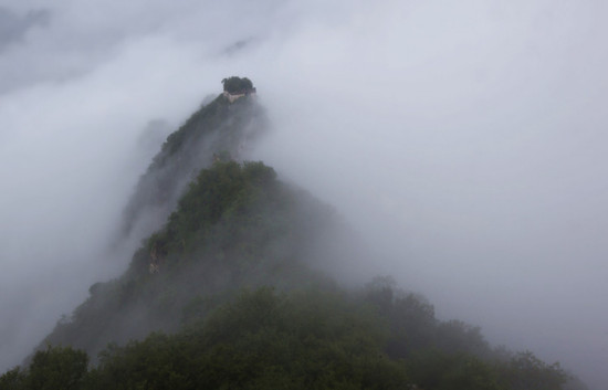 �����۳����Ʒɶ�-��������