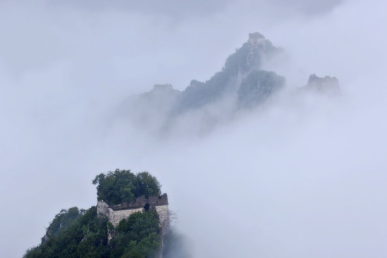 �����۳����Ʒɶ�-��������