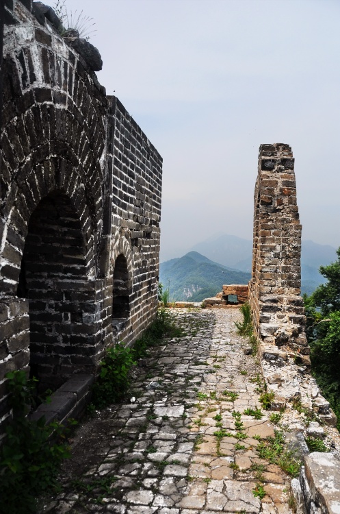 ���ﳤ�ǵ�һ¥������¥-��������