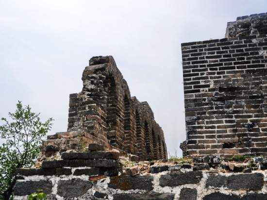 ���ﳤ�ǵ�һ¥������¥-��������