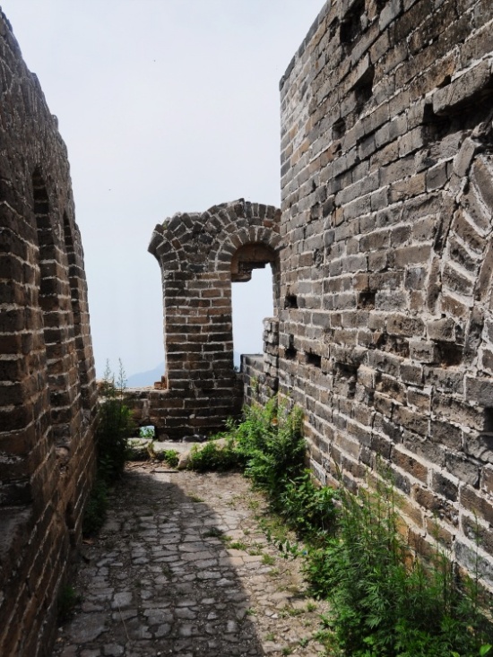 ���ﳤ�ǵ�һ¥������¥-��������