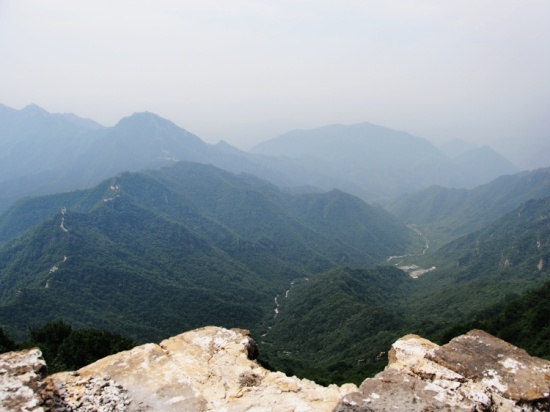 ���ﳤ�ǵ�һ¥������¥-��������