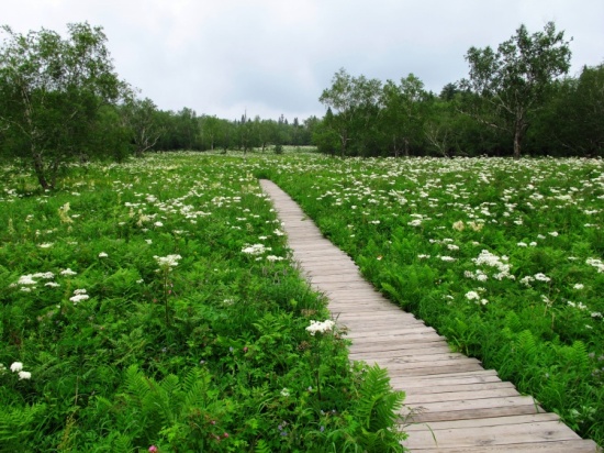 ����ɽ<span class=lxw>[ע: ��ɽ[����������]����ɽ[ɽ��]����ɽ[����]]</span>��;5��ɽ����������������-��Ȼ�羰