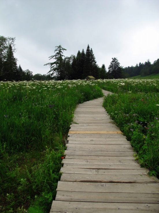 ����ɽ��;5��ɽ����������������-��Ȼ�羰