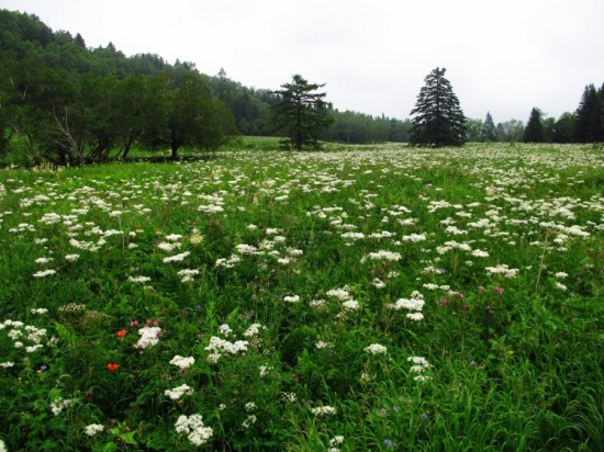 ����ɽ��;5��ɽ����������������-��Ȼ�羰