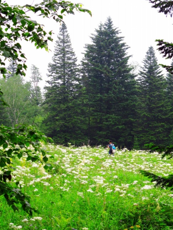 ����ɽ��;5��ɽ����������������-��Ȼ�羰