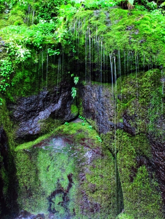 ����ɽ��;4��ˮ�ٲ�Ϣ����������-��Ȼ�羰