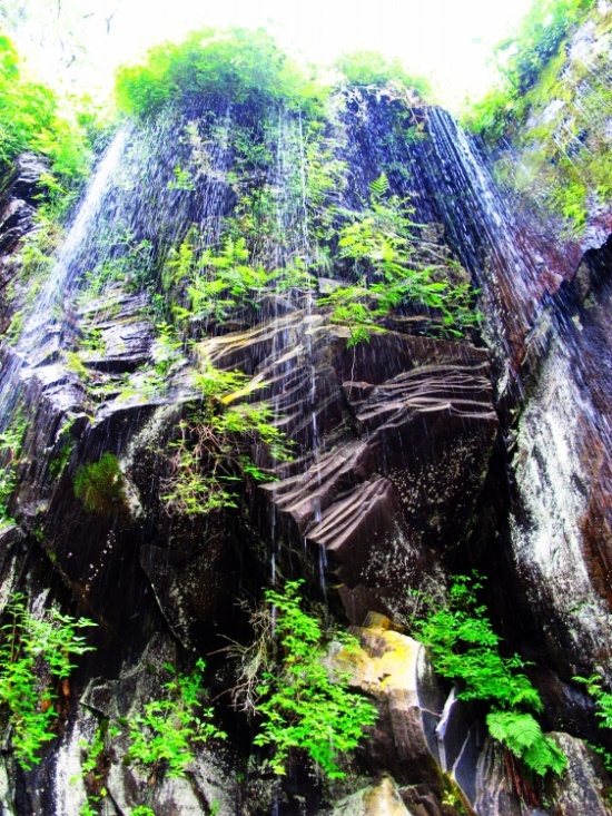 ����ɽ��;4��ˮ�ٲ�Ϣ����������-��Ȼ�羰