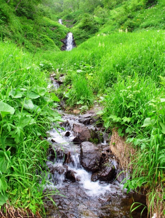 ����ɽ��;4��ˮ�ٲ�Ϣ����������-��Ȼ�羰