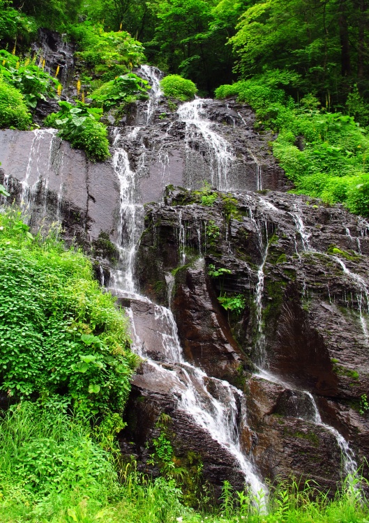 ����ɽ��;4��ˮ�ٲ�Ϣ����������-��Ȼ�羰