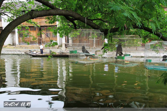 ��䱵��糿-������Ӱ