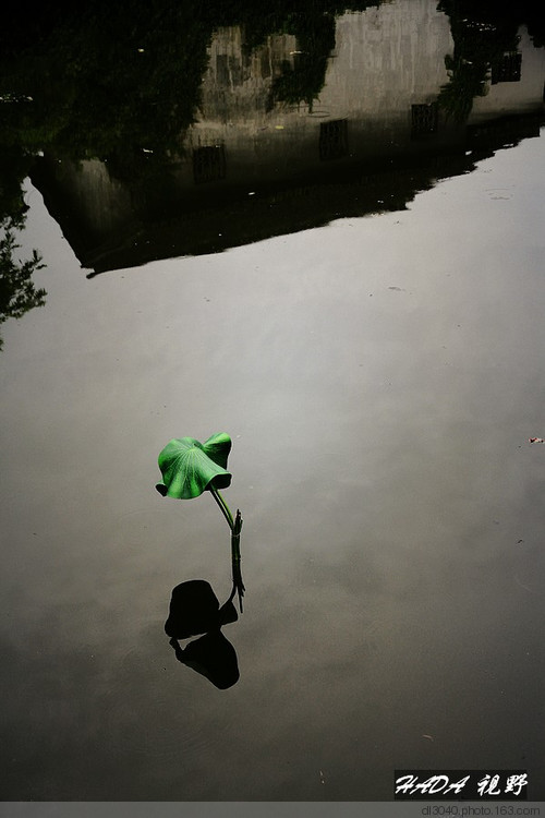 ��䱵��糿-������Ӱ