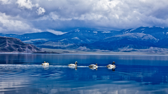 ����ľ֮��-��������