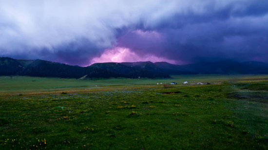 ����ľ֮��-��������