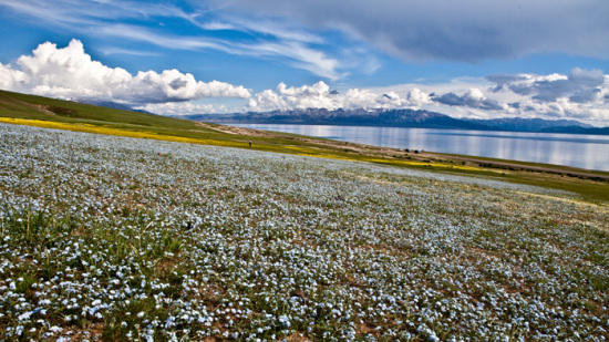 ����ľ֮��-��������